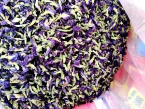 Clitoria Ternatea - Butterfly Pea - Asian Pigeonwings - Blue Pea - Aparajita