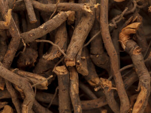 Chitrak - Plumbago Zeylanica - Leadwort - Ceylon Leadwort - Doctorbush