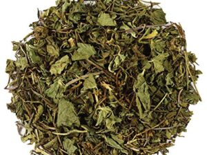 Gotu Kola - Centella Asiatica - Indian Pennywort - Brahmi - Hydrocotyle