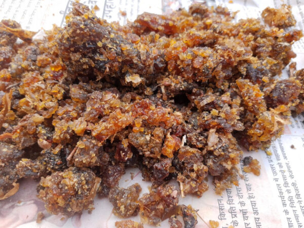 Guggul - Guggal - Indian Bdellium - Commiphora Wightii - Mukul Myrrh - Guggulu