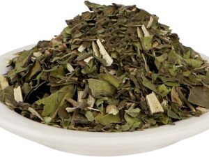 Vasaka - Malabar Nut - Adhatoda Vasica - Arusha - Justicia Adhatoda