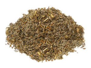 Wormwood - Artemisia Absinthium - Absinthe Herb - Green Ginger - Mugwort
