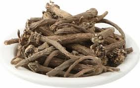 Akarkara - Pellitory - Spanish Chamomile - Anacyclus Pyrethrum - African Pyrethrum - Indian Spikenard