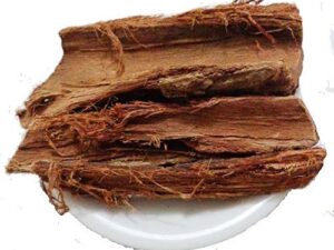 Ashoka - Saraca Asoca - Ashok Tree - Sorrowless Tree - Ashoka Peepal