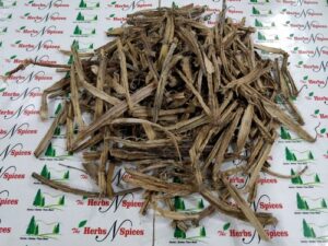 Veldt Grape - Cissus Quadrangularis - Hadjod - Asthisamhari - Bone Setter