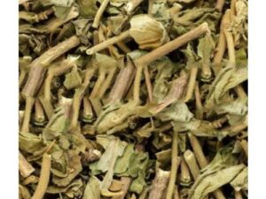 Kalmegh - Andrographis Paniculata - Green Chiretta - King of Bitters - Creat