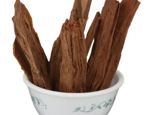 Indian Kino Tree - Pterocarpus Marsupium - Vijayasar - Malabar Kino - Indian Kino